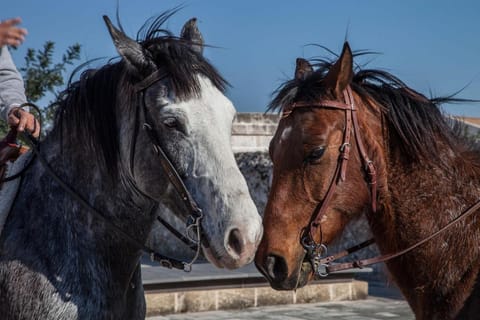 Histò San Pietro Sul Mar Piccolo Vacation rental in Province of Taranto