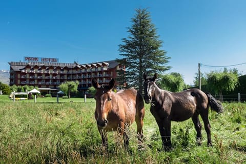 Puigcerda Park Hotel Vacation rental in Cerdanya