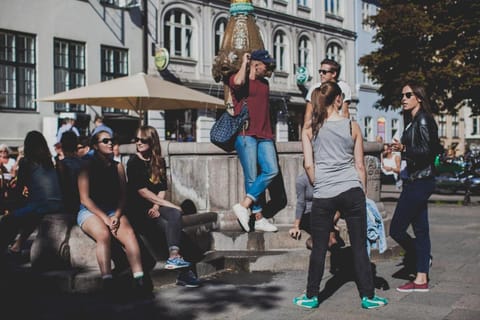 Copenhagen Downtown Hostel Hostel in Copenhagen