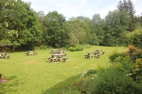 Nant Ddu Lodge Hotel & Spa Vacation rental in Llanfrynach