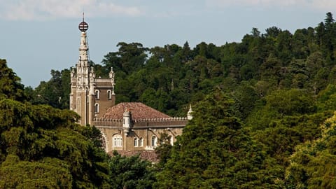 Palace Hotel Do Bussaco Vacation rental in Aveiro District, Portugal