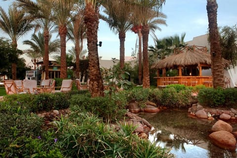 Fayrouz Resort Resort in Sharm El-Sheikh