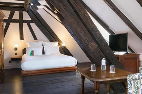 Hôtel de l'Europe by HappyCulture Vacation rental in Strasbourg