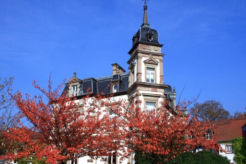 Hôtel & Spa Château de l'ile Hotel in Illkirch-Graffenstaden