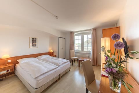 Hôtel de la Rose Vacation rental in Fribourg