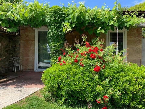 Relais Del Lago Vacation rental in Capannori