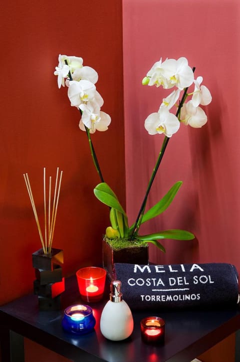 Melia Costa del Sol Hôtel in Torremolinos