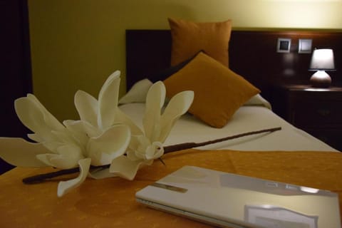 Hotel Complutense Vacation rental in Alcala de Henares