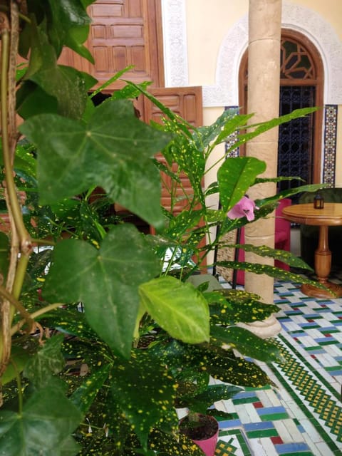 Riad Dar Zouhour Vacation rental in Rabat