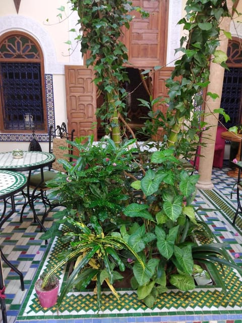 Riad Dar Zouhour Vacation rental in Rabat