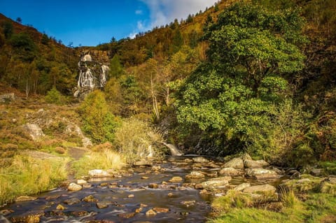 Lake Vyrnwy & Spa Hotel Vacation rental in Llanwddyn