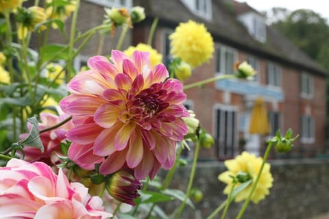 Deans Place Hotel Hotel in Alfriston