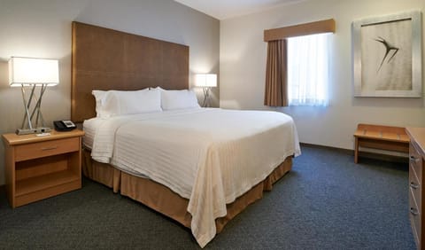 Holiday Inn Hotel & Suites Chihuahua Vacation rental in Chihuahua