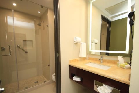 Holiday Inn Leon Vacation rental in Leon