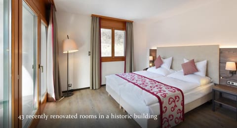 Hotel des Vignes Vacation rental in Sion