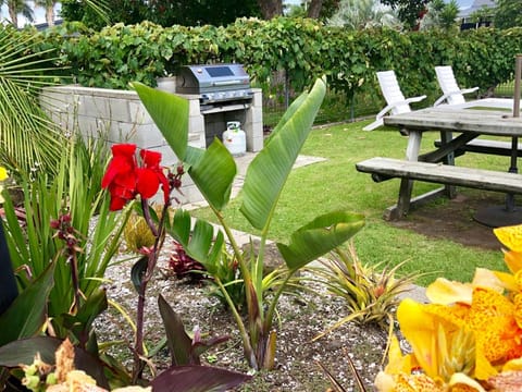 Teal Motor Lodge Vacation rental in Gisborne