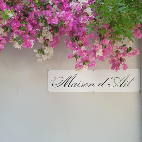 Maison d'Ail Guest House Vacation rental in Franschhoek