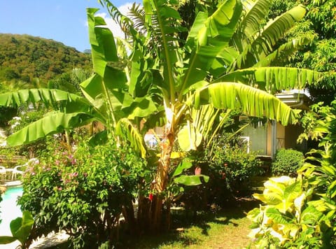 Pension De La Plage Vacation rental in Tahiti