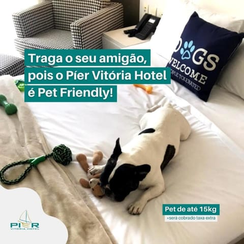 Píer Vitória Hotel Vacation rental in Vitoria