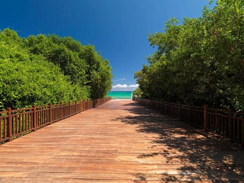 Paradisus Playa del Carmen All Inclusive Resort in Playa del Carmen