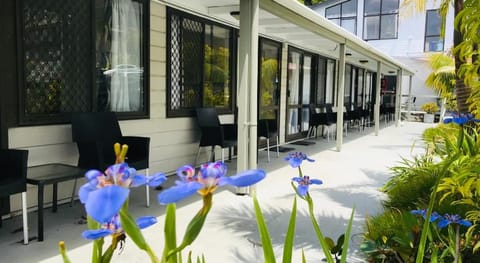 Bounty Motel Vacation rental in Paihia