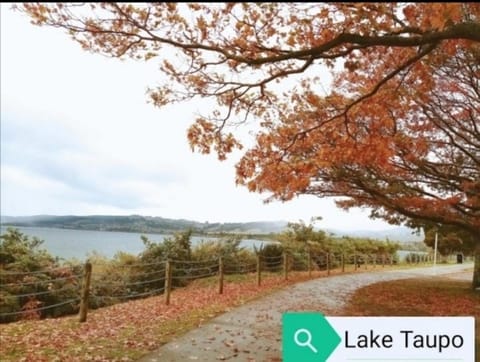 Silver Fern Lodge Vacation rental in Taupo