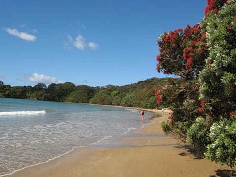 By the Bay Beachfront Apartments Vacation rental in Northland