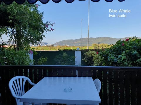 Lakeside Accommodation Vacation rental in Knysna