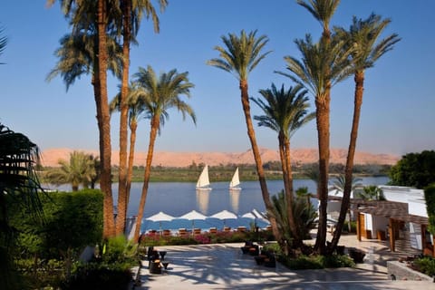 Hilton Luxor Resort & Spa Vacation rental in Luxor