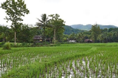 Santi Resort & Spa Vacation rental in Luang Prabang Province, Laos