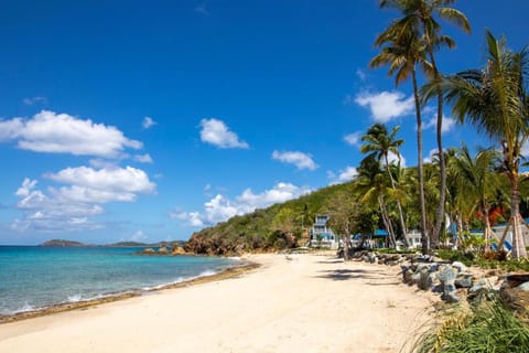 Limetree Beach Resort by Club Wyndham Hôtel in Virgin Islands (U.S.)