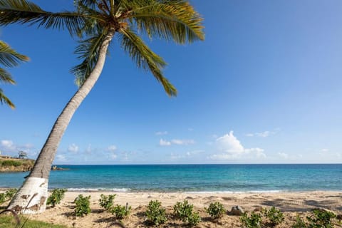 Limetree Beach Resort by Club Wyndham Hotel in Virgin Islands (U.S.)