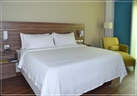 Holiday Inn Express Villahermosa Vacation rental in Villahermosa