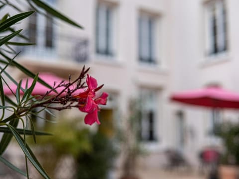 Clos Saint Martin Vacation rental in Caen