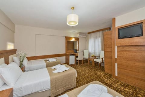 Selenay Hotel & Spa İstanbul Hôtel in Istanbul