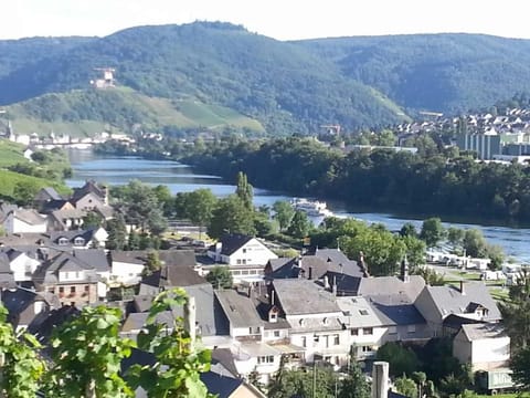 Weinhaus Hotel zum Josefshof Vacation rental in Graach an der Mosel