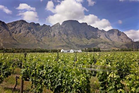 Holden Manz Country House Vacation rental in Franschhoek