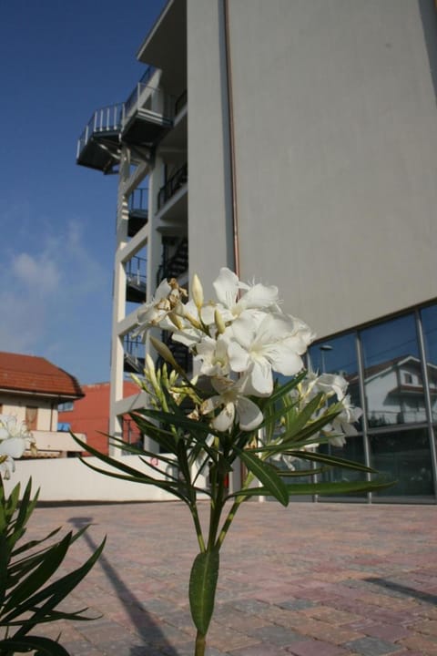 Hotel Spazio Residenza Hotel in Pescara