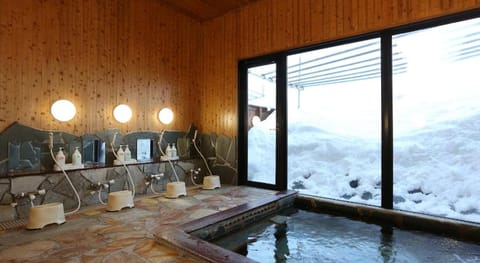 Alpine Wind Hakuba Vacation rental in Hakuba