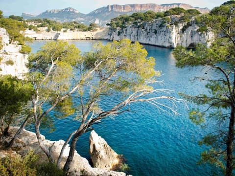 ibis Marseille Bonneveine Calanques Plages Vacation rental in Marseille