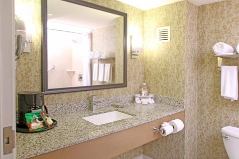 Holiday Inn Express & Suites Cuernavaca Vacation rental in Cuernavaca