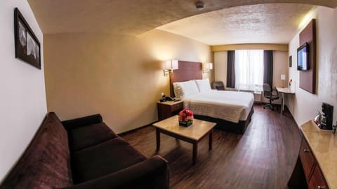 Holiday Inn Orizaba Vacation rental in Orizaba