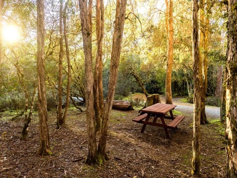 Discovery Parks - Cradle Mountain Vacation rental in Cradle Mountain