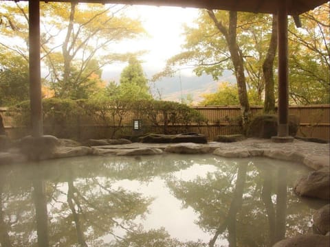 Senkyoro Ryokan Vacation rental in Hakone