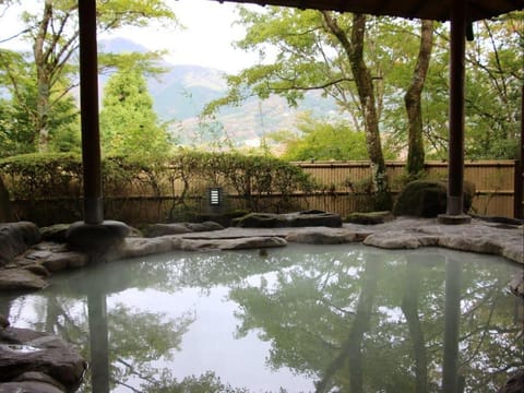 Senkyoro Ryokan Vacation rental in Hakone