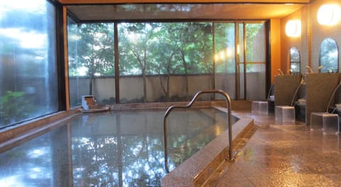 Ryokan Senkei Vacation rental in Hakone