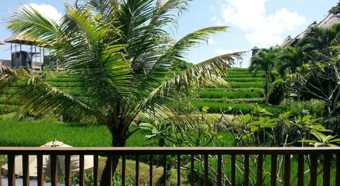 Biyukukung Suite & Spa Vacation rental in Ubud