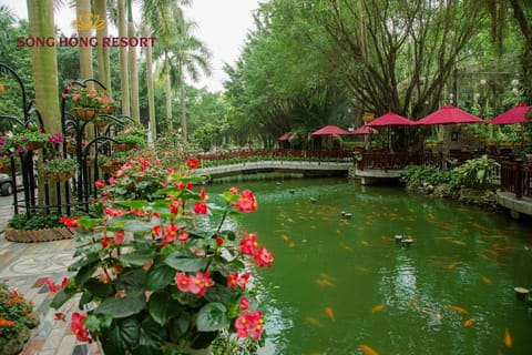 Song Hong Hotel Resort in Laos