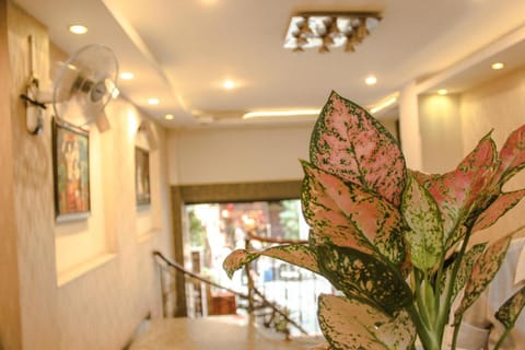 Sao Nam Hotel - Bui Vien Walking Street Vacation rental in Ho Chi Minh City