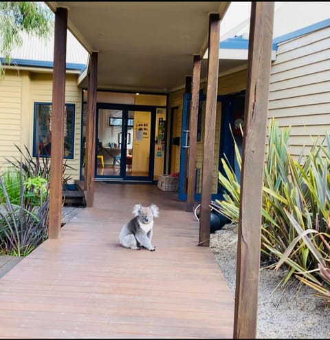 Sandpiper Motel Vacation rental in Apollo Bay